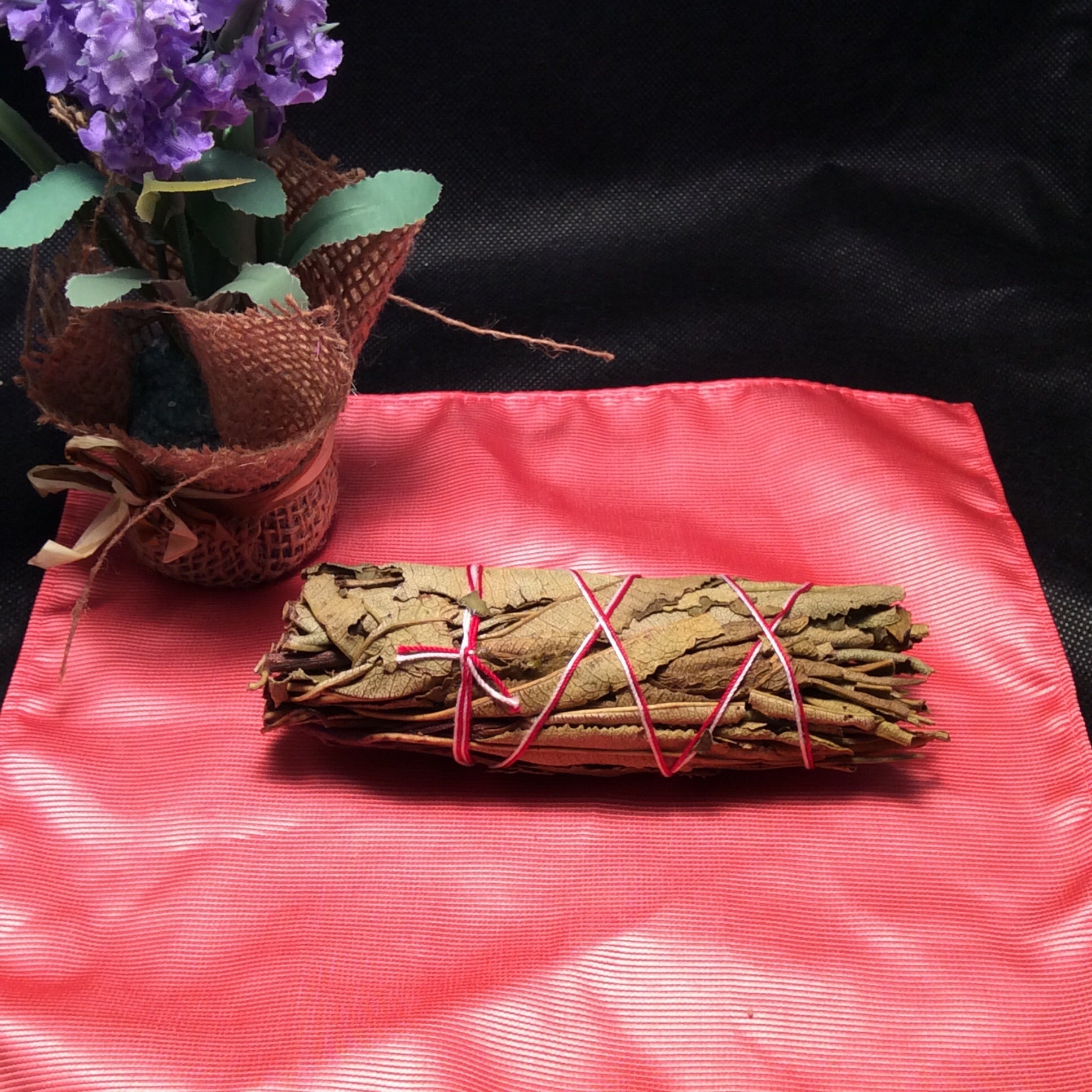 Yerba Santa