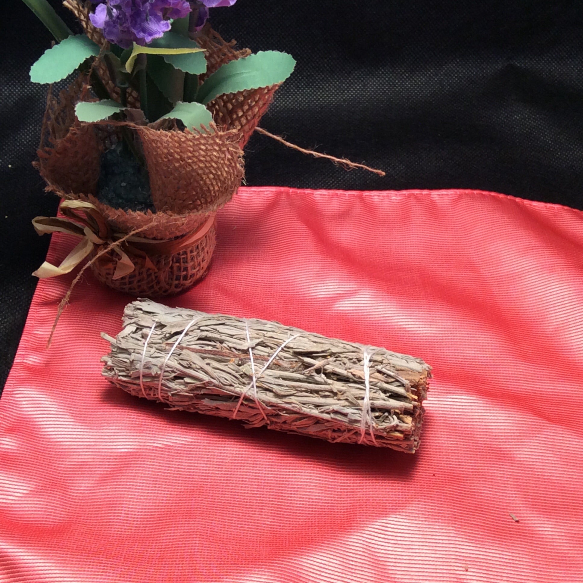 Mountain Sage w/ Palo Santo