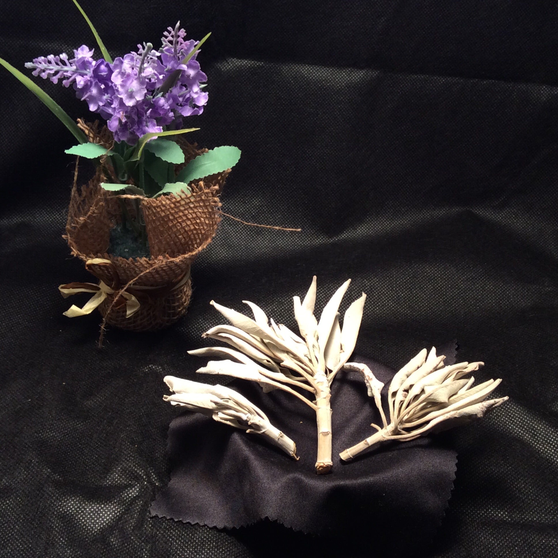 Loose Leaf Sage Clusters